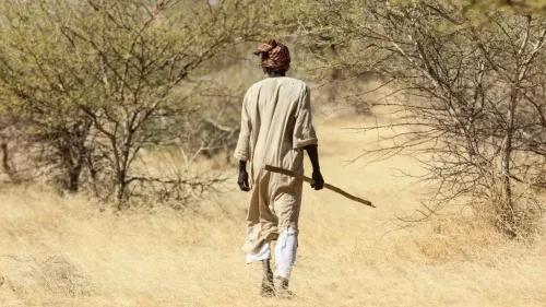 رجل يمشي في منطقة جافة محاطة بالأشجار، يحمل عصا، في سياق أزمة الصمغ العربي في السودان وتأثيرها على صناعة المشروبات.